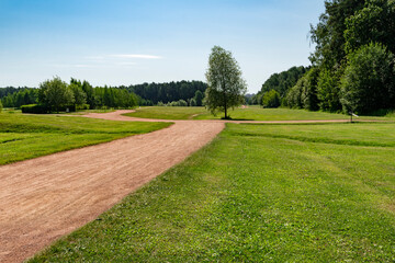 Summertime landscape in an ecological park	