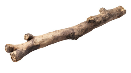 Vibrant Indian Madder Rak Root Isolated on Transparent Background for Design Projects