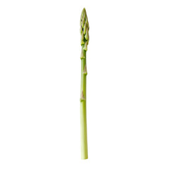 Fresh green asparagus stalk with vibrant color and unique texture, perfect for healthy dishes and culinary presentations