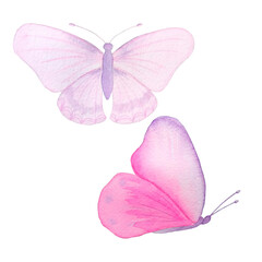 Fantasy pink and purple butterflies painted in watercolor. Handmade isolated on white background.