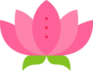 lotus illustration on a white background     