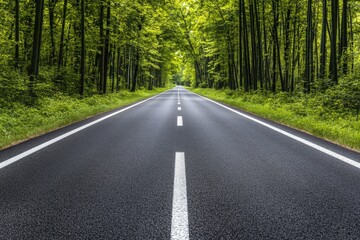 Fototapeta premium Asphalt Road Through Forest