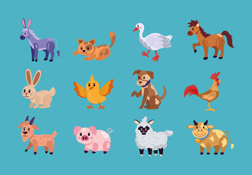 Colorful Fun Farm Domestic Cute Animal Nature Illustration