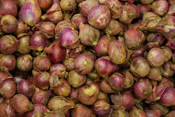 Close Up of Fresh Shallots, textured background
