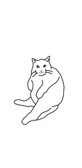 fat cat meme