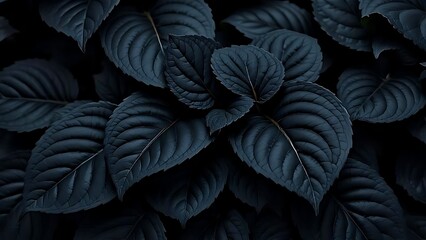 Obraz premium Dramatic Dark Tropical Leaves with Elegant Vein Patterns Natural Background