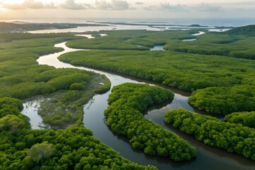 amazon rainforest with amazon river