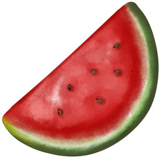 watermelon isolated on white illustration