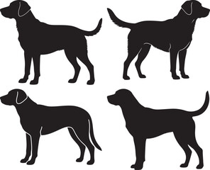 Adorable Dog Breed Vector Illustration Playful Puppy Design