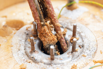 Corrosion and mineral deposits on the heating element of an electric boiler. Boiler maintenance and repair