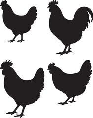 Colorful Hen Illustration Farm Animal Vector Graphic Design