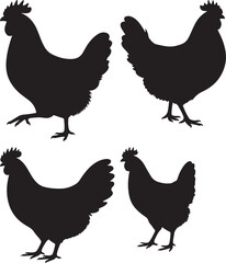 Colorful Hen Illustration Farm Animal Vector Graphic Design