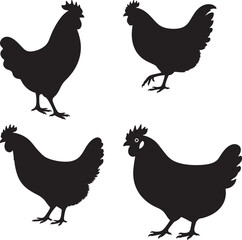 Farm Hen Illustration Detailed Vector Graphic of a Chicken
