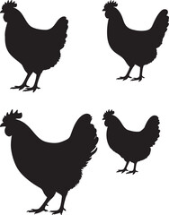 Colorful Hen Illustration Farm Animal Vector Graphic Design