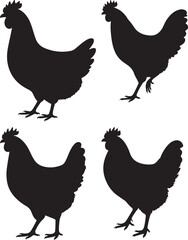 Farm Hen Illustration Colorful Vector Graphic of a Chicken