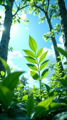 Obraz premium green leaves in the forest