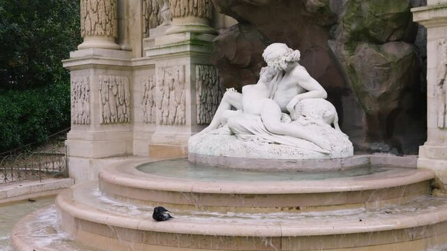 A dove bathes in the Medici Fountain in the Luxembourg Gardens in spring, Paris, France. Baroque fountain depicting the mythological scene of Polyphemus surprising Acis and Galatea.
