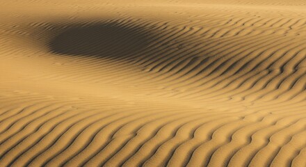 Obraz premium Desert sand dunes texture closeup