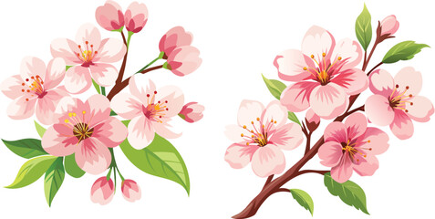 Beautiful Cherry Blossom Branches