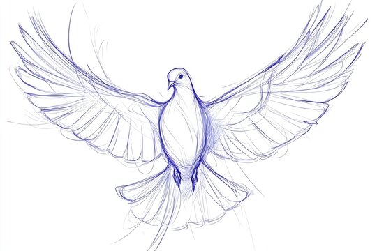 Elegant line drawing of a soaring dove. - Powered by Adobe