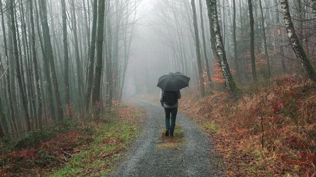 A man walking in a rainy, foggy forest with an umbrella. Following the walk in slow motion.