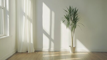 Fototapeta premium Elegant minimalist room, bright white walls, shadowed window light patterns, warm wooden floor, single green plant in focus, ambient luxury, straight-on shot 