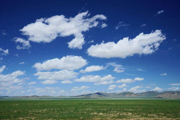 green field and blue sky in Mongolia