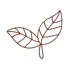  Outline of Eco-Friendly