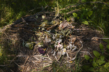 Bouquet fané jeté sur un tas de branche - Symbolique