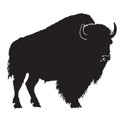 Bison Silhouette Vector Illustration Monochrome Style Wildlife Animal Graphics
