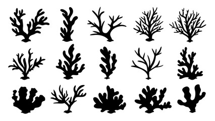 Seaweed silhouettes, coral black icon. Abstract organic shape, underwater plant, matisse element, cute sea doodle.