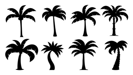Fototapeta premium set of stylized palm tree silhouette vector on tranparent background