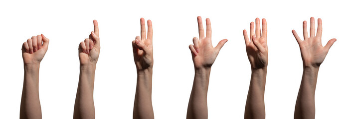 Hand with fingers raised, showing the numbers zero through five in a counting gesture. learning,