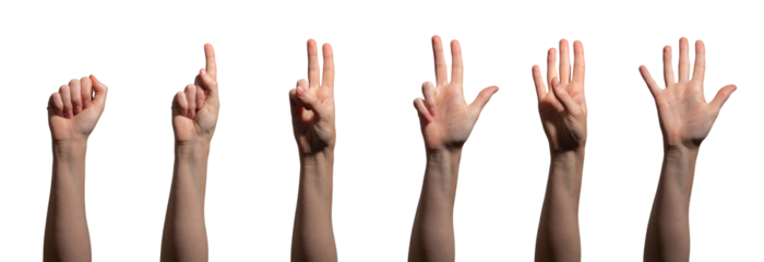 Hand with fingers raised, showing the numbers zero through five in a counting gesture. learning,