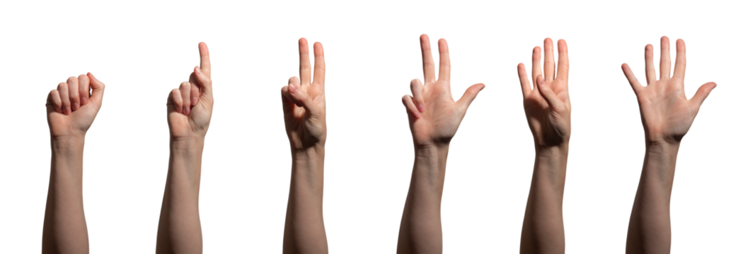 Hand with fingers raised, showing the numbers zero through five in a counting gesture. learning,