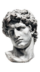 An ancient marble bust of a handsome young man with curly hair and a thoughtful expression sits against a stark white backdrop evoking classical beauty and art history.