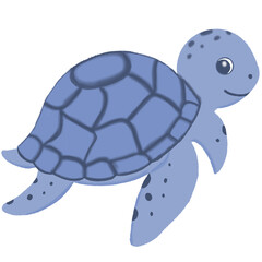 turtle