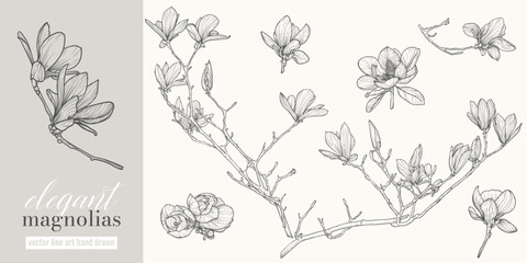 Set of highly detailed flowers. Trendy botanical elements. Hand drawn line leaves, stems and blooming. Wedding elegant peonies for invitation, save the date, card. Black vector line art hand drawn. © Muza