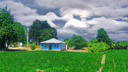 Peasant house in a rural area, Cuba
