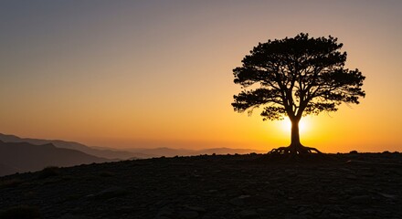 Majestic Silhouette of a Lone Tree at Sunrise, Mountain Landscape Photography