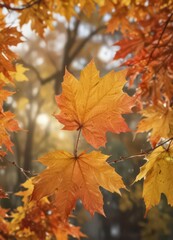 Fototapeta premium Close-up of maple leaves with bokeh background, fall colors , leaves, background