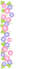 紫とピンクのあさがおのフレーム