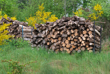 Firewood is neatly stacked and is beautifully surrounded by lush greenery and bright yellow blooms