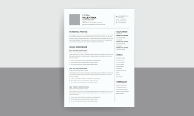 Professional CV, Resume design for freelance and journalist, minimal job cv design	