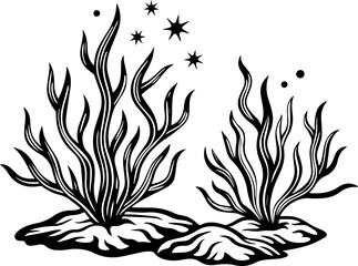 SVG vector of coral reef restoration showing marine life. Black and White Illustration of Artistic Seaweed with Stars