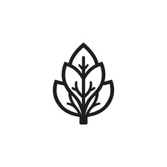 Collard green logo template