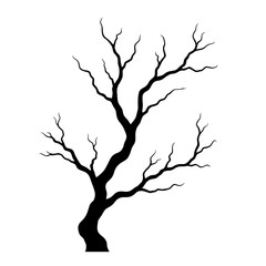 Fototapeta premium Dark, twisted tree silhouette with bare branches evokes haunting atmosphere.,cut out