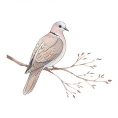 Fototapeta premium Watercolor Painting of a Dove Perched on a Branch