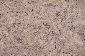 Dark brown background, texture. River silt close-up. Silty sandy soil.