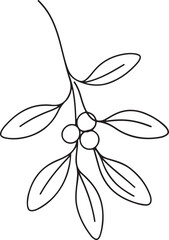 Mistletoe Line Drawing Vector Illustration